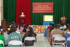 Hội Nông dân xã Tân Hương triển khai trồng cây rau lấy hạt công nghệ cao