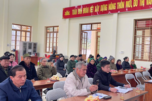 Tuyên truyền Luật phòng chống bạo lực gia đình, bình đẳng giới.